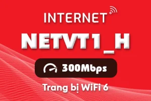 Gói cước internet Viettel NETVT1_H (300Mbps)