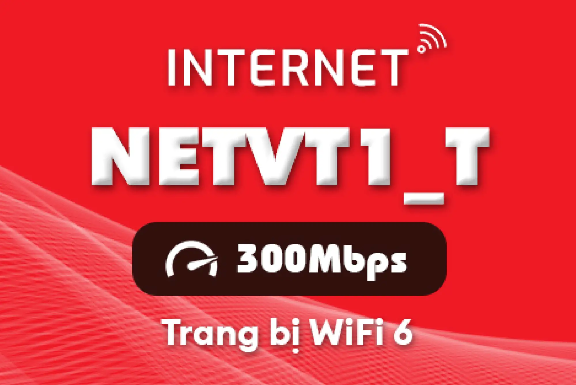 gói internet NETVT1_T