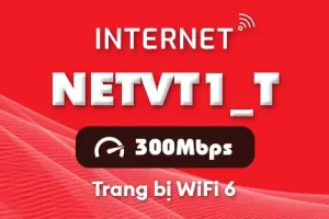 Gói cước internet Viettel NETVT1_T (300Mbps)